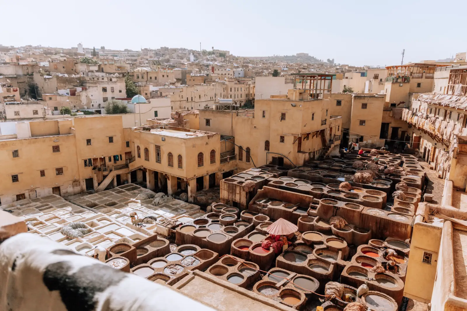 Fez