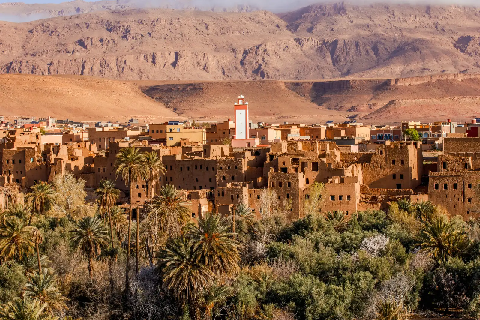 Oasi di palme vicino a Errachidia all’inizio di cinque giorni verso Marrakech